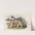 The mammals of Australia Pl.032 by John Gould