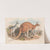 The mammals of Australia Pl.043 by John Gould