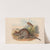 The mammals of Australia Pl.051 by John Gould