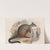The mammals of Australia Pl.076 by John Gould