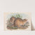 The mammals of Australia Pl.102 by John Gould