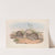 The mammals of Australia Pl.112 by John Gould