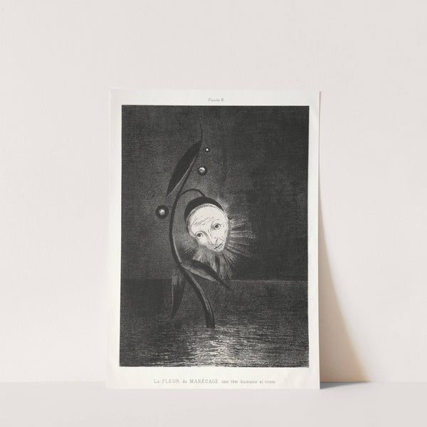 The Marsh Flower, a Sad Human Head by Odilon Redon