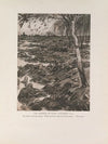 The Marshes of Pinsk (1916-1917)