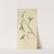 The May Fly - Green And Fray Drake by Barret And Sons