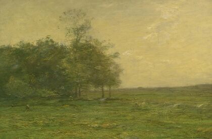 The Meadow