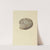The mineral conchology of Great Britain Pl.032 by James Sowerby