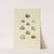 The mineral conchology of Great Britain Pl.082 by James Sowerby