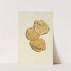 The mineral conchology of Great Britain Pl.212 by James Sowerby