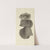 The mineral conchology of Great Britain Pl.219 by James Sowerby