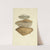 The mineral conchology of Great Britain Pl.220 by James Sowerby
