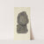 The mineral conchology of Great Britain Pl.242 by James Sowerby