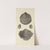 The mineral conchology of Great Britain Pl.254 by James Sowerby