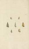 The mineral conchology of Great Britain Pl.365