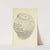 The mineral conchology of Great Britain Pl.508 by James Sowerby