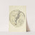 The mineral conchology of Great Britain Pl.509 by James Sowerby