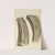 The mineral conchology of Great Britain Pl.538 by James Sowerby