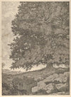The Monarch (1909-1925)