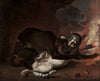 The Monkey and the Cat