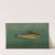 The Montana Grayling, Thymallus signifer montanus. (1898) by John L. Petrie