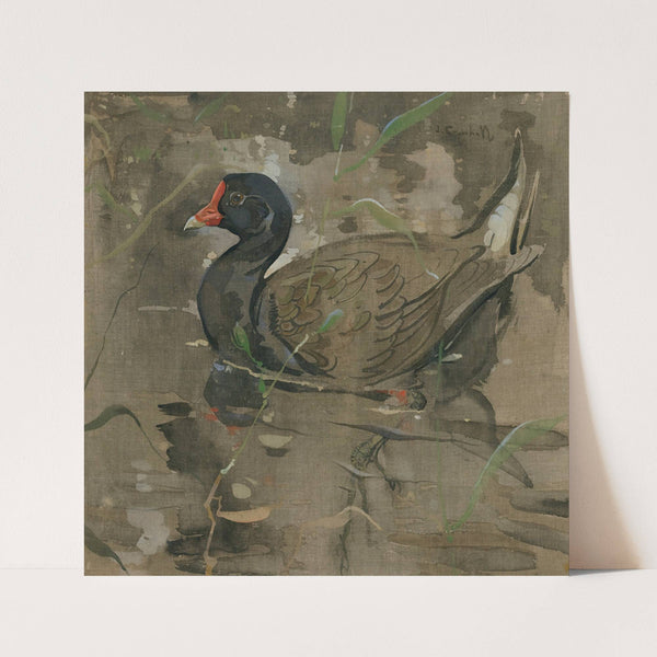 The Moorhen by Joseph Crawhall