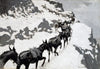The Mule Pack (1901)
