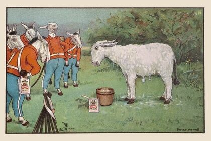 The mules declared he looked just like a great big woolly sheep