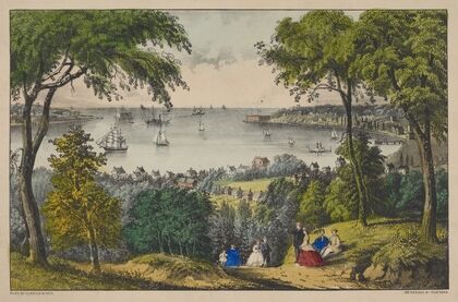 The Narrows, New York Bay. From Staten Island (1801 - 1900)