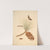 The natural history of the rarer lepidopterous insects of Georgia Pl.042 (1797) by James Edward Smith