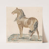 The Neighing Horse (1690s) by Johann Teyler