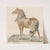 The Neighing Horse (1690s) by Johann Teyler