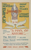 The New York Sunday herald. January 1st 1896.