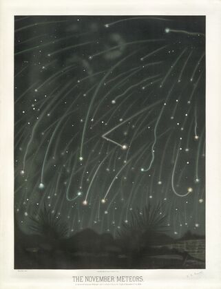 The November meteors