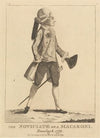 The Novicate