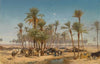 The Oasis, Biskra