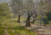 The Olive Grove