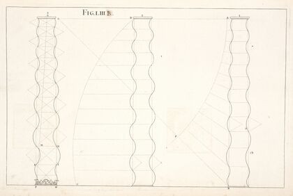 The orders of architecture, taken from Palladio and Scamozzi.