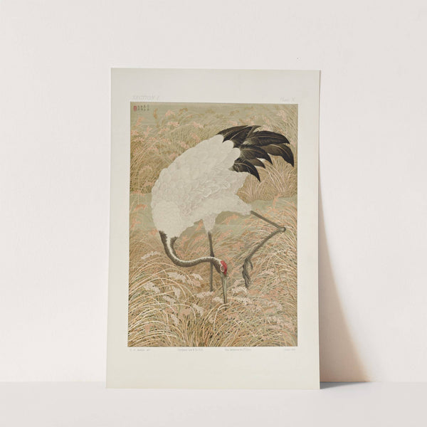 The ornamental arts of Japan Pl.016 by George Ashdown Audsley