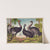 The ostrich (1874) by Gibson &amp; Co. Lith