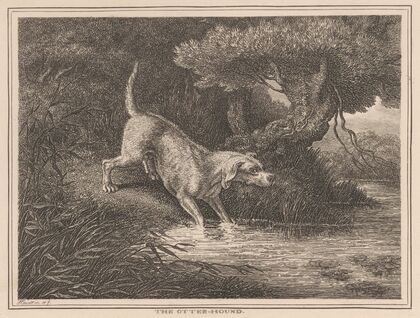 The Otter Hound (1834)