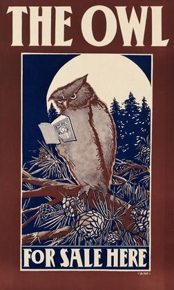 The owl for sale here