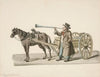 The Oyster Man