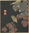 The Paroquet (ca. 1900)