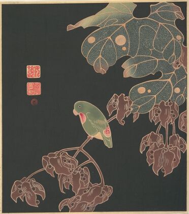 The Paroquet (ca. 1900)