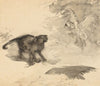 The Parrot and the Cat (Sketch for ‘Good-Night’ by Eleanor Gates)