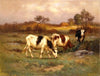 The Pasture Lot (1907)