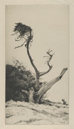 The Pennant (1900-1916)