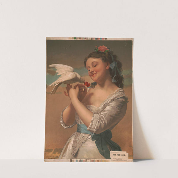 The pet dove (1872) by E. & H. T. Anthony & Co.
