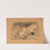 The Picture Book by Helene Schjerfbeck