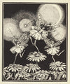 The Picture-Poetry Book pl24